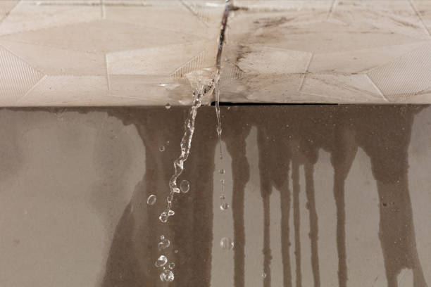 Professional Sewage Cleanup technician working in Landing, NJ